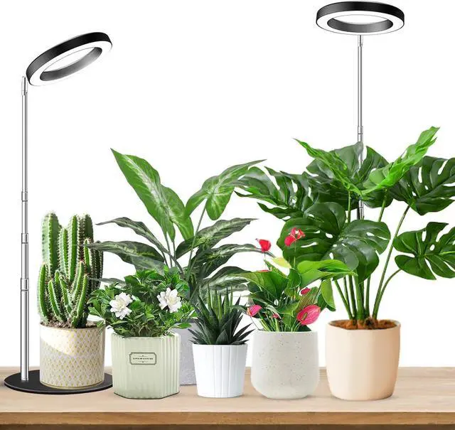 Main image of Grow Lights for Indoor Plants Full Spectrum, 80 LEDs Plant Light for Indoor Plants, Height Adjustable Desktop Growing Lamp with Auto Timer 6/12/16Hrs, 3 Optional Spectrums,5 Brightness,2 Packs