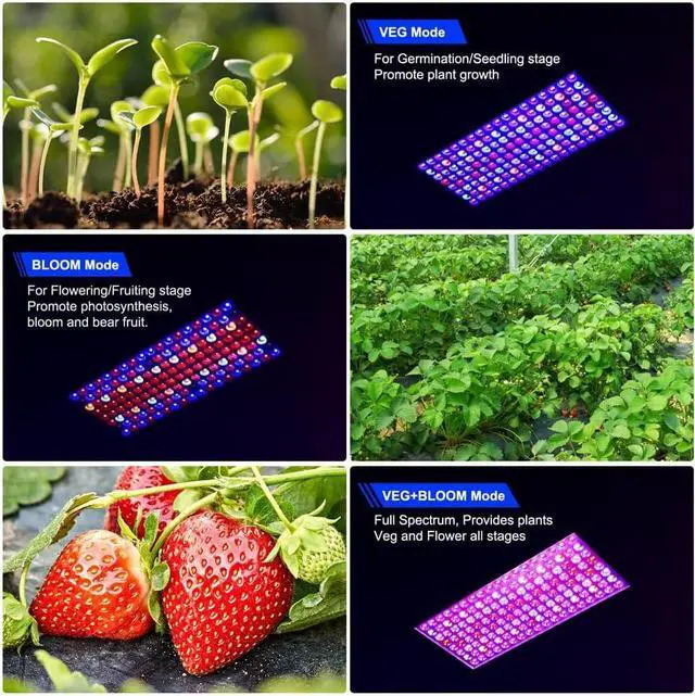 Alt view image 2 of 7 - 2024 Newest BW1000 LED Grow Lights Double Chips Full Spectrum for Greenhouse and Indoor Plant Veg and Flower Growing [White]