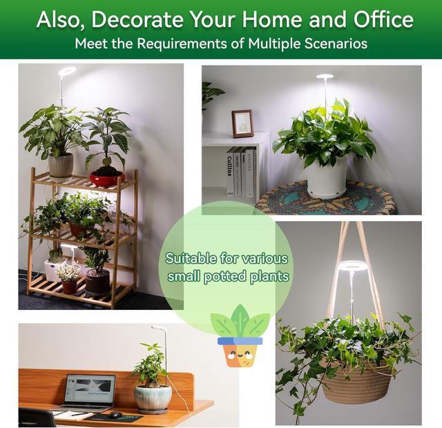 Alt view image 6 of 7 - Grow Lights for Indoor Plants, Super Bright Full Spectrum Halo Grow Light, with Timer 4/8/12/18h Automatic Work Every Day, Height Adjustable, Comes with 7 feet Power Cord and Wall Plug