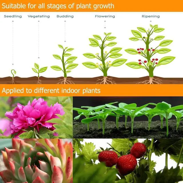 Alt view image 7 of 7 - 3-Head Full Spectrum LED Grow Light, 3 Modes, 10 Dimming Levels, Auto On/Off, 360 Gooseneck, Suitable for Indoor Plants