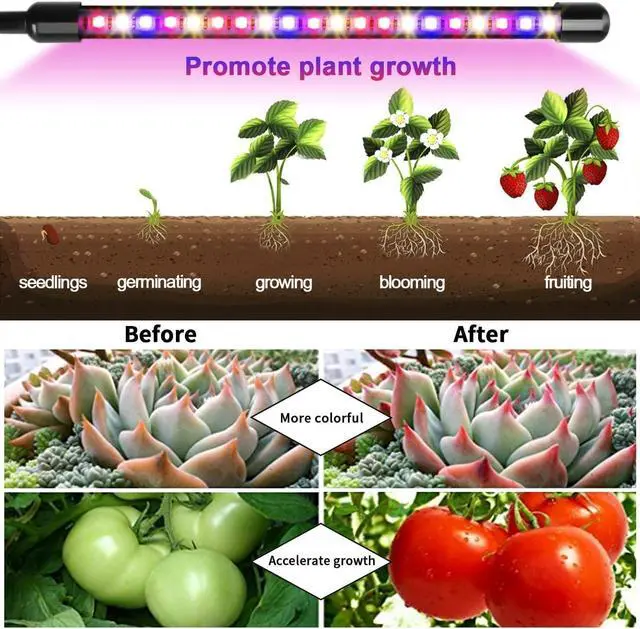 Alt view image 7 of 7 - Garpsen Led Grow Light, 2PCS 3 Heads Full Spectrum Clip Plant Light for Indoor Plants, 120 LEDs Grow Lights, with 3 Switch Modes & Auto ON/Off 6/12/16H Timer, 5 Dimmable Levels (Red Blue Warm White)