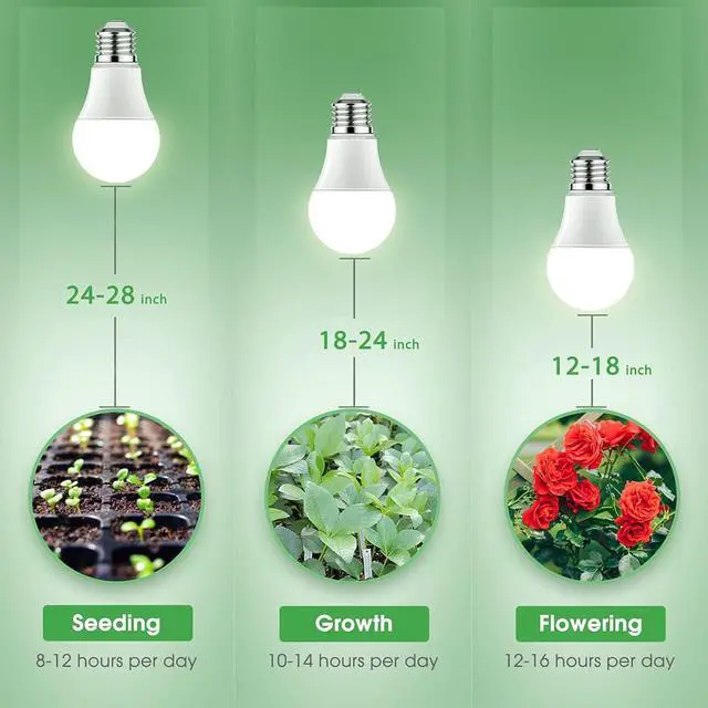 Alt view image 7 of 7 - Briignite Grow Light Bulbs, LED Grow Light Bulb A19 Bulb, Full Spectrum Grow Light Bulb, Plant Light Bulbs E26 Base, 11W Grow Bulb 100W Equivalent, Grow Light for Indoor Plants, Seed Starting, 12Pack