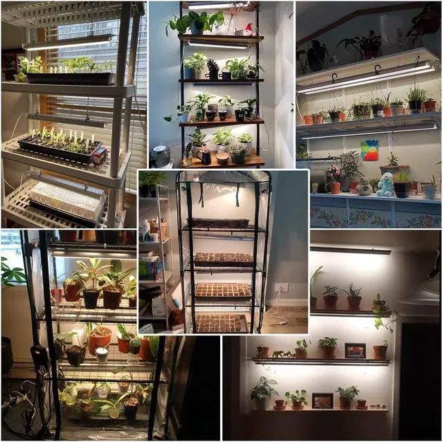 Alt view image 3 of 6 - T5 Grow Lights 1.4Ft, 5000K White Full Spectrum LED Plant Growing Lamp Strips for Indoor Plants, Seeds Starting, Succulents, High PPFD with V-Shaped Reflector