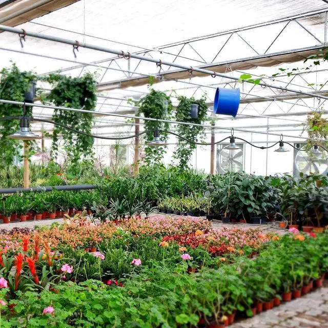 Alt view image 6 of 7 - Espird LED Grow Light Plant Growing Lamps with Timer, Outdoor Waterproof Grow Light String Grow Lights for Greenhouse, Full Spectrum Grow Light for Seeding Veg Flowers 6 Lights