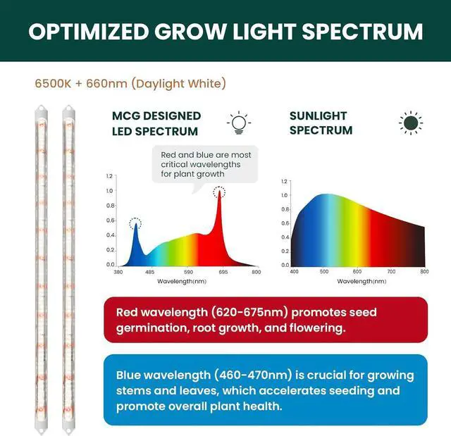 Alt view image 3 of 7 - Seed Starting Light, T5 2ft 6500k LED Plant Grow Light Bars, 2pcs, Seeding Light for Hydroponic, Herbs, Microgreens, Green Leafy Vegetables Growing, Smart Seed Starter for Home Kitchen, 6/12/18H Timer