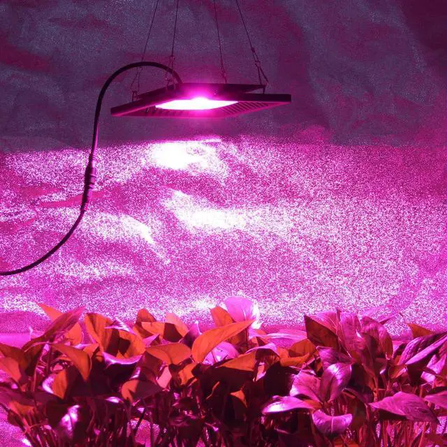 Alt view image 7 of 7 - Waterproof 100W LED Grow Light Full Spectrum, New Technology COB LED Grow Light, Natural Heat Dissipation Without Noise, Suitable for Plants All Growing Stage Indoor or Outdoor.