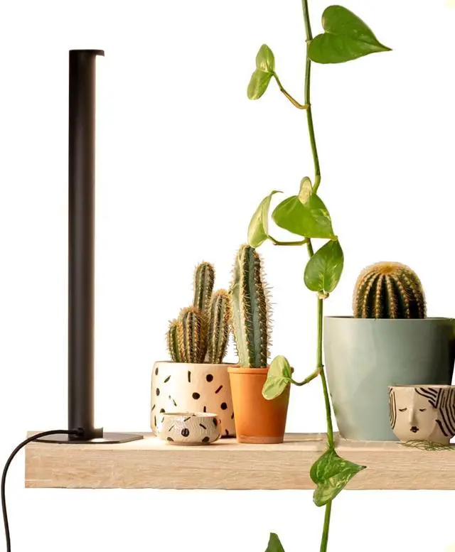 Main image of PlantSpectrum16 Grow Light, Full Spectrum LED Plant Growing Lamp 16Watt for Indoor Plants