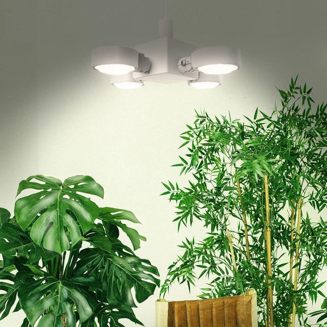 30w led grow light new arrivals