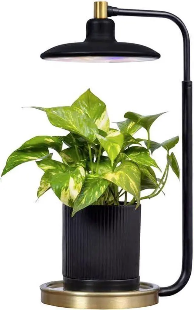 Main image of AeroGarden Tabletop Grow Light for Indoor Plants, Grow Live Plants Anywhere in The Home, Adjustable Light Modes, Black