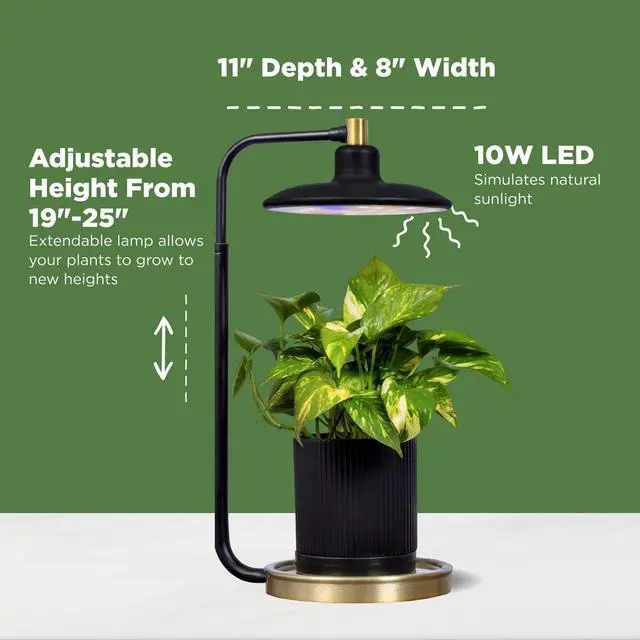 Alt view image 7 of 7 - AeroGarden Tabletop Grow Light for Indoor Plants, Grow Live Plants Anywhere in The Home, Adjustable Light Modes, Black