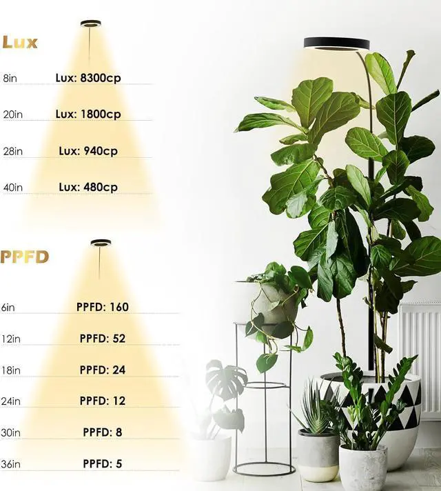 Alt view image 6 of 7 - Grow Lights for Indoor Plants, 20W Full Spectrum LED Grow Light Floor Lamp with Stand Adjustable Height and Angle, Black Plant Light with 3/9/12H Grow Light Timer