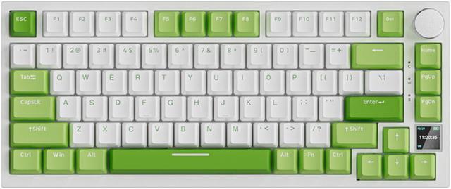 AK820 Pro Mechanical Gaming Keyboard wired+2.4G wireless+5.1 Bluetooth,RGB  Lighting Modes,82 Keys 100% Anti-Ghosting Mechanical Keyboard for Laptop,  Windows,MAC, Green-White Keyboard(Green Switch) 
