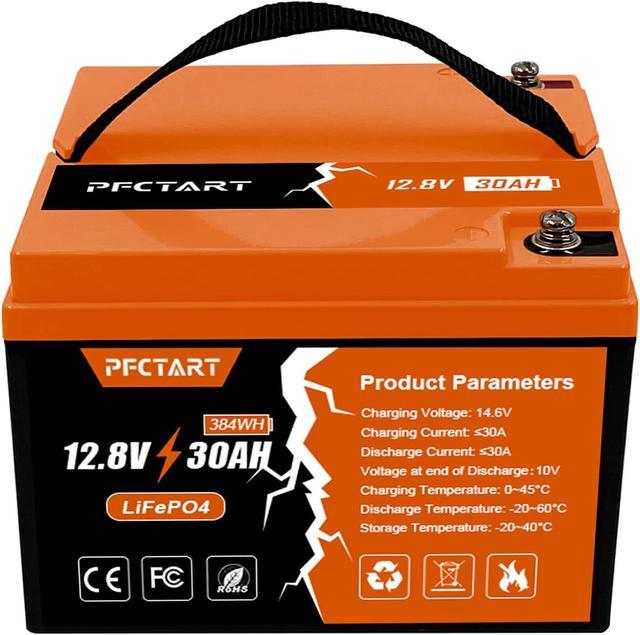 LiFePO4 Battery 12V 30Ah Lithium Iron Phosphate Battery for Camper RV Golf  Cart Camping 
