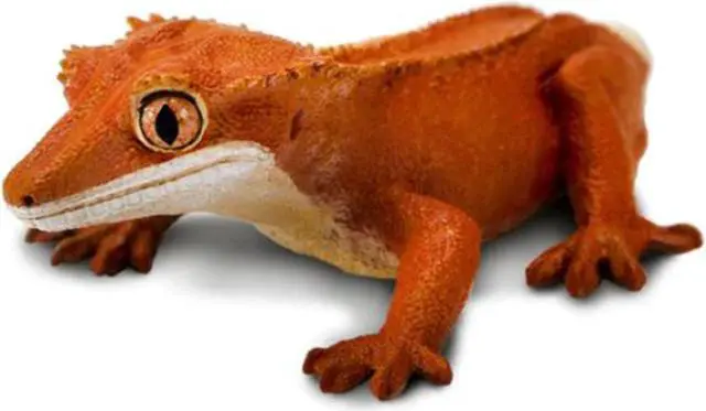 Main image of Crested Gecko Animal Figure Safari Ltd 100344