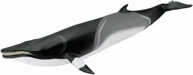 Main image of Minke Whale Animal Figure Safari Ltd 100413