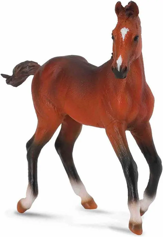 Main image of CollectA Quarter Foal Bay Horse Figure 88586