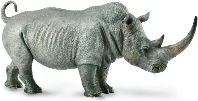 Main image of CollectA White Rhinoceros Animal Figure 88852
