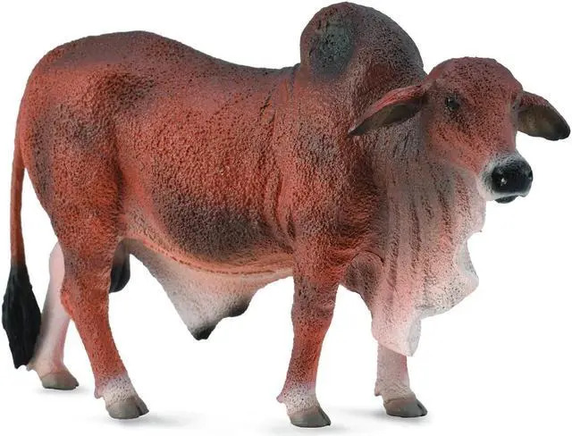 Main image of CollectA Red Brahman Bull Animal Figure 88599