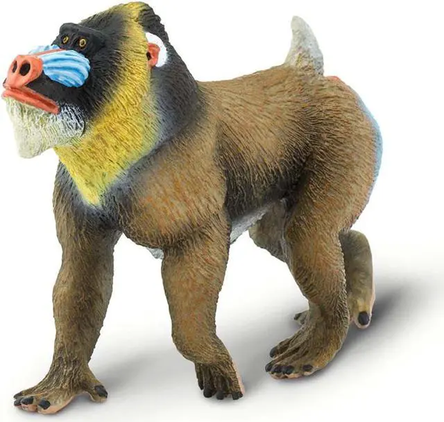Main image of Mandrill Wild Safari Animal Figure Safari Ltd 100273