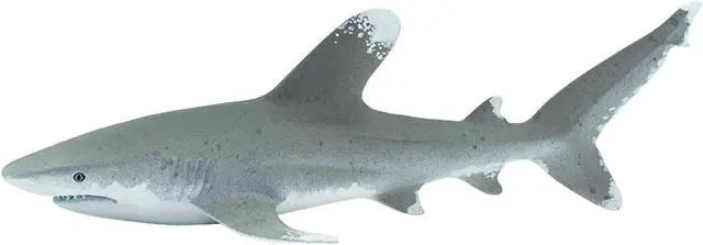 Main image of Oceanic Whitetip Shark Wild Safari Ocean Figure Safari Ltd 100271