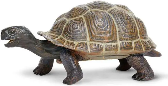 Main image of Tortoise Baby Incredible Creatures Figure Safari Ltd