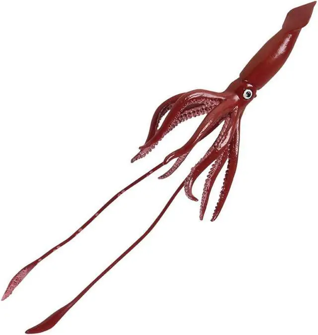 Main image of Giant Squid Sea Life Safari Ltd