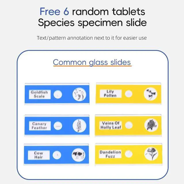 Alt view image 7 of 7 - KEHIPI Portable Labsters Microscope - 1000X Telescope & SD Card Photo & Video Microscope for Kids 3+