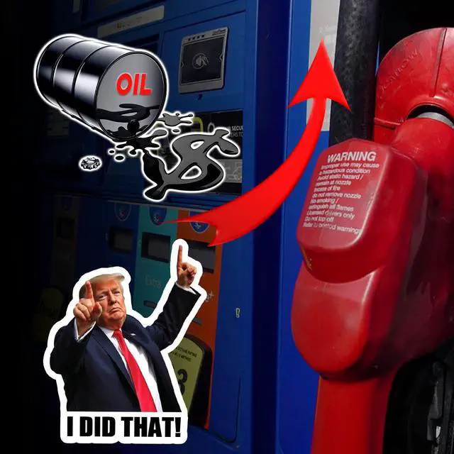 Alt view image 4 of 6 - 50pcs I Did that Trump Stickers 2-2.5 Inches Funny Anti Trump Sticker I Did that Gas Pump Sticker My Tariff We Did that Trump I Did that Trump-Stickers Decal Waterproof Merchandise Car 8