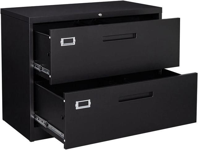 2 drawer file cabinet (letter sized files)