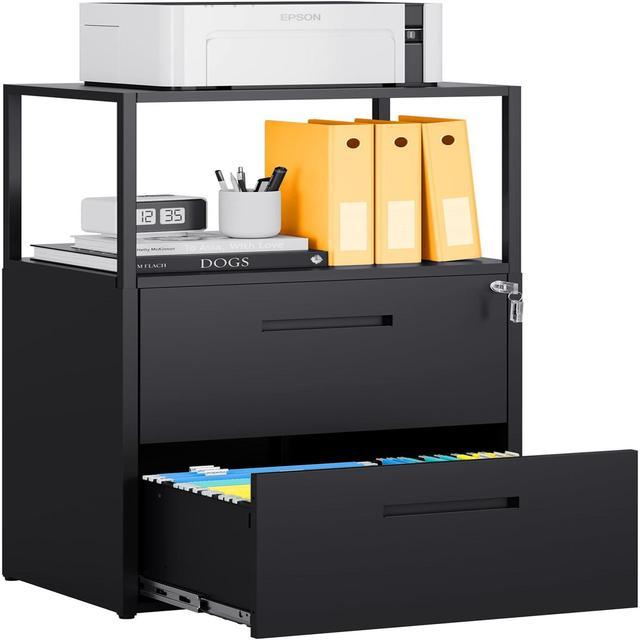 2 Drawer Lateral File Cabinet with Lock - Durable Metal Filing