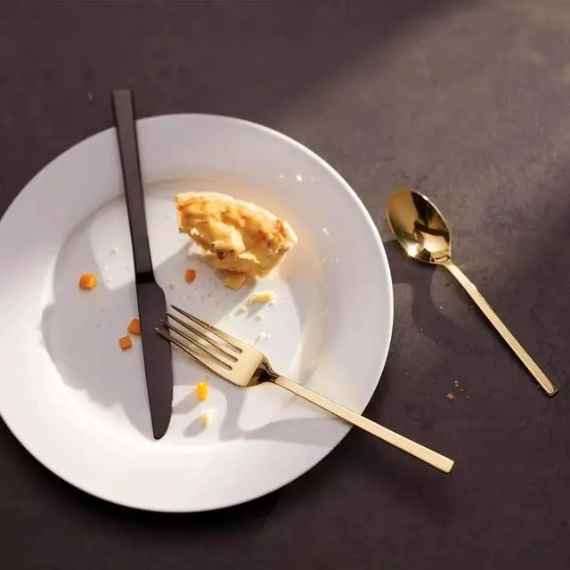 Alt view image 4 of 5 - Oneida Allay Champagne 20 Piece Everyday, Service for 4 Flatware Set