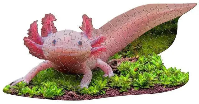 Alt view image 3 of 4 - Madd Capp I AM Lil' Axolotl Shaped Jigsaw Puzzle, 100 Pieces, Age 5+