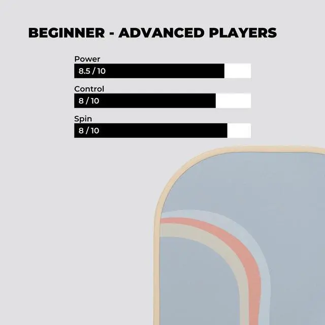Alt view image 3 of 7 - Holbrook Rewind Design Performance Series Pickleball Paddles