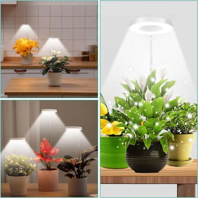 Alt view image 5 of 7 - Grow Lights for Indoor Plants - LED Full Spectrum Plant Light, Height Adjustable Grow Light with 4 Dimmable Brightness, 4/8/12H On/Off Timer, Splashproof Halo Plant Lamp for Small Plants