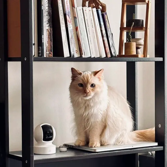 Alt view image 5 of 5 - Kasa Indoor Pan/Tilt Smart Security Camera, 1080p HD Dog-Camera,2.4GHz with Night Vision,Motion Detection for Baby and Pet Monitor, Cloud & SD Card Storage, Works with Alexa& Google Home (EC70), White