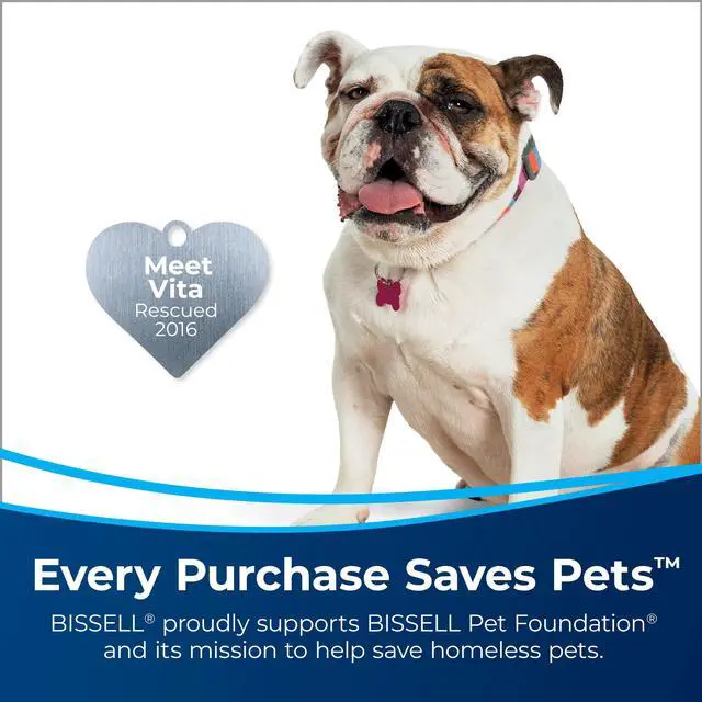Alt view image 6 of 7 - BISSELL 2505 Little Green Pro Portable Carpet Cleaner