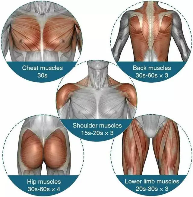 Alt view image 6 of 7 - Massage Gun Percussion Massager Deep Tissue Muscle Vibrating Relaxing + 4 Heads