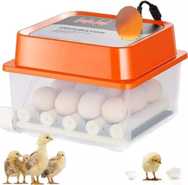 Main image of Egg Incubator Incubators for Hatching Eggs Auto Egg Turning 12 Eggs