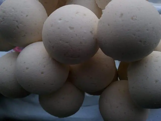 Main image of Spa Pure Beneath The Stars: 14 BENEATH THE STARS Bath Bomb Fizzies with Shea Butter, Ultra Moisturizing...Great for Dry Skin (Beneath The Stars FBA)