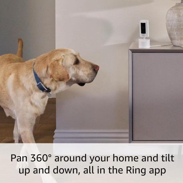 Alt view image 3 of 7 - Ring Pan-Tilt Indoor Cam | See all around with 360° pan coverage, HD video, plus Two-Way Talk (2024 release) | Black
