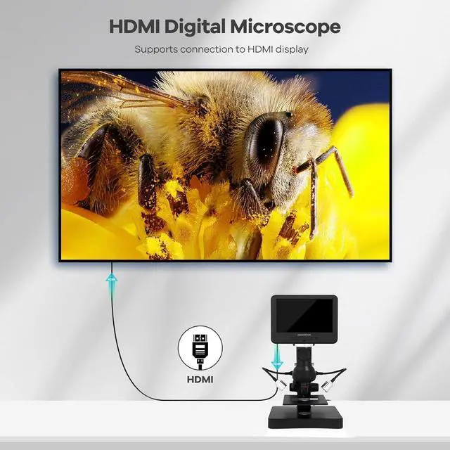 Alt view image 4 of 7 - AD246S-P HDMI Digital Microscope with 7'' Screen, 4000x 3 Lens 2160P UHD Video Record, Coin Microscope for Error Coins, Biological Microscope Kit for Adults and Kids, Prepred Slides