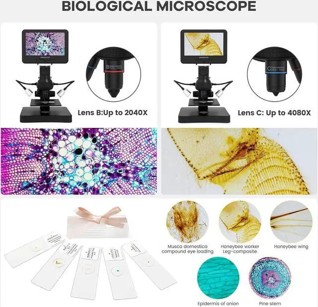 Alt view image 6 of 7 - AD246S-P HDMI Digital Microscope with 7'' Screen, 4000x 3 Lens 2160P UHD Video Record, Coin Microscope for Error Coins, Biological Microscope Kit for Adults and Kids, Prepred Slides