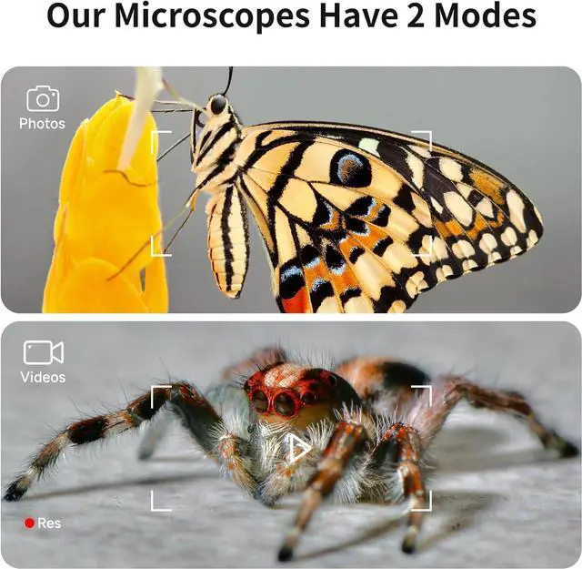 Alt view image 3 of 7 - Microscope, Portable Digital Pocket Microscope for Kids 3-12, Handheld Mini Kids Microscope with 4.0" IPS Screen, Coin Microscope with 8 LED Lights Compatible with iPhone Android Computer