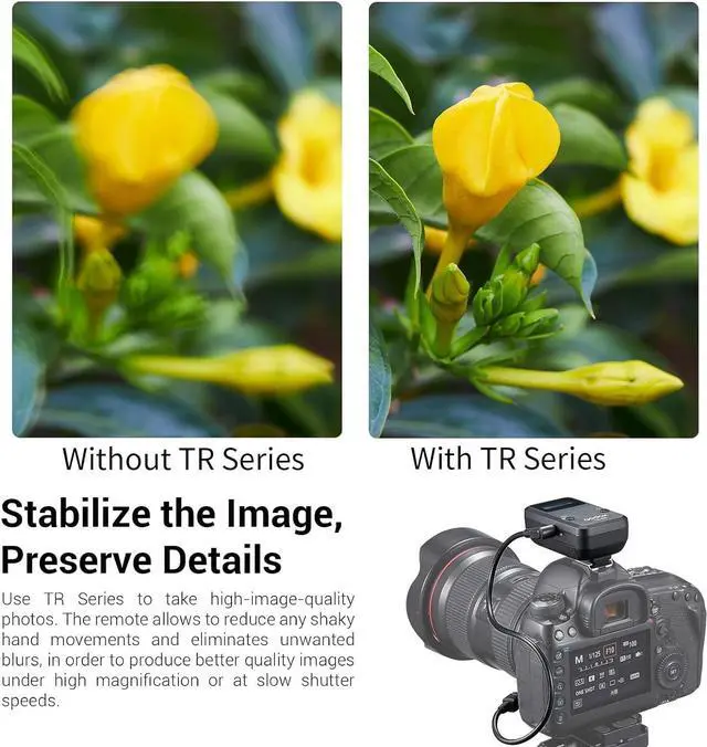 Alt view image 5 of 7 - TR-C1 TR-C3 Remote Shutter Release for , Wireless Shutter Release Intervalometer Compatible for  R7 R6II R5 R RP 1Ds Mark III 5D Mark III 7D 6D 5D 90D 80D 70D 1200D G10 EOS M6 M6II M5