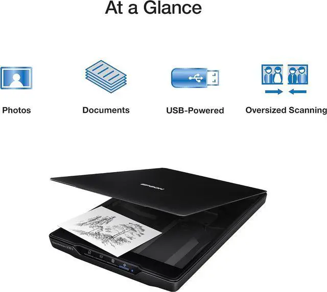 Alt view image 6 of 7 - Perfection V39 II - Color Photo and Document Flatbed Scanner - 4800 dpi Optical Resolution - High-Rise, Removable Lid - Scan to Cloud - USB Power - Image Scanning - Black