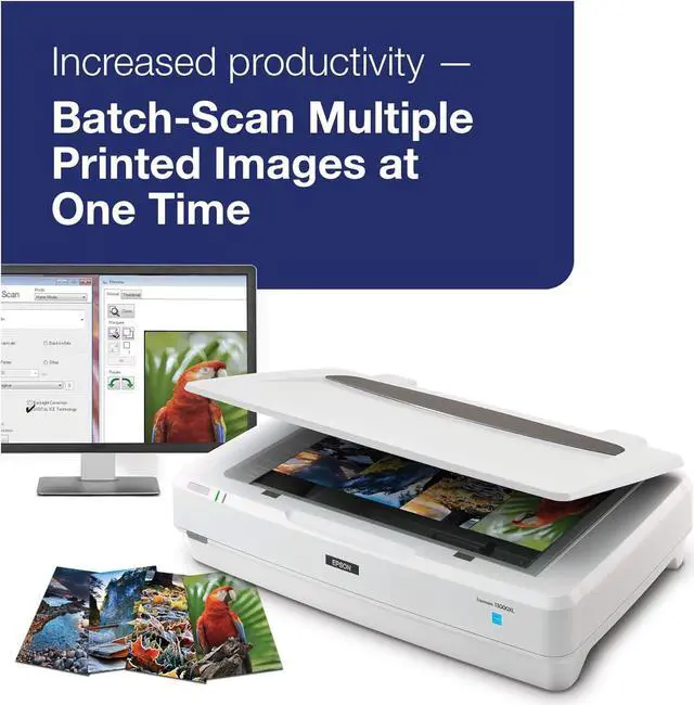 Alt view image 7 of 7 - Expression 13000XL Archival Photo and Graphics Flatbed Scanner