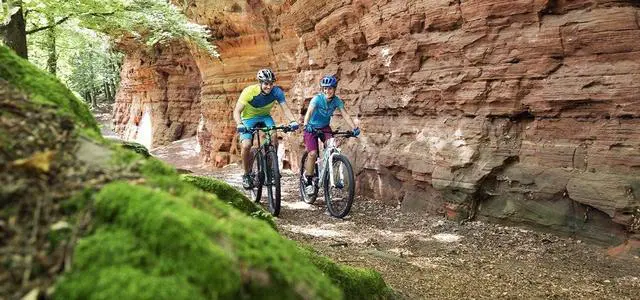 Alt view image 7 of 7 - BC 14.16 Bicycle Computer, Wired | Altitude Functions - Slope, Gradient | Full Text Display, Auto Start/Stop, Automatic Bike Recognition & Pairing | IPX8 Water Resistant | Tool Free Mounting