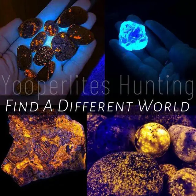 Alt view image 4 of 7 - UV Black Light Flashlite, High Power Blacklight Flashlights with Professional Filtered 3 LED Bead, for Pet Urine Detection, Dry Stains, Gemstone Observation(8.6'' 11.4'')