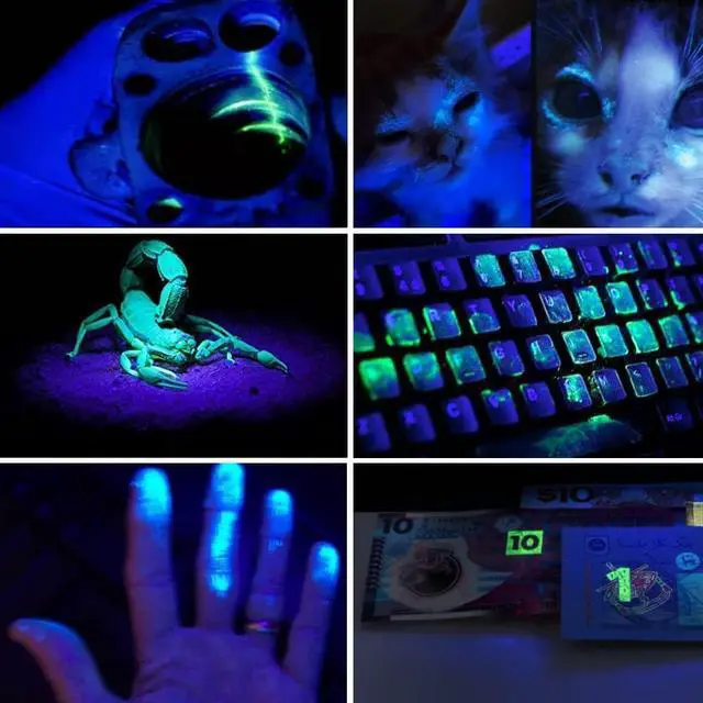 Alt view image 7 of 7 - UV Black Light Flashlite, High Power Blacklight Flashlights with Professional Filtered 3 LED Bead, for Pet Urine Detection, Dry Stains, Gemstone Observation(8.6'' 11.4'')