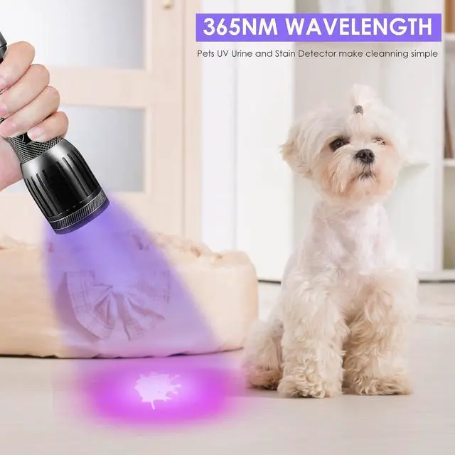 Alt view image 4 of 7 - 1408 365nm Black Light UV Flashlight with 3 LEDs Professional UV Light,Powerful Blacklight Flashlight for Pet Urine Finding & Mineral, Antique Detection, Scorpion Search, etc